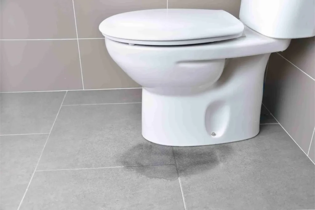 toilet with puddle of water under the tile