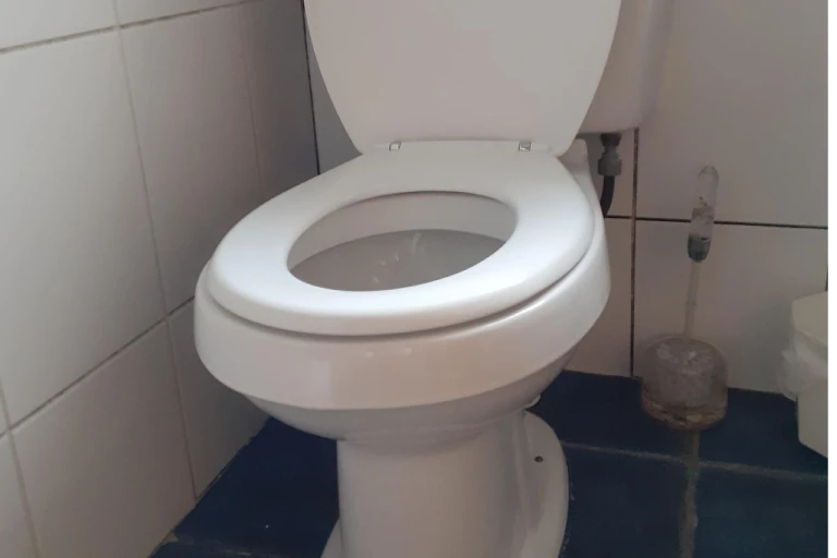 Toilet Repair & Install in San Antonio